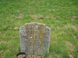 image of grave number 319089